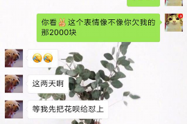 郑州融资清欠服务